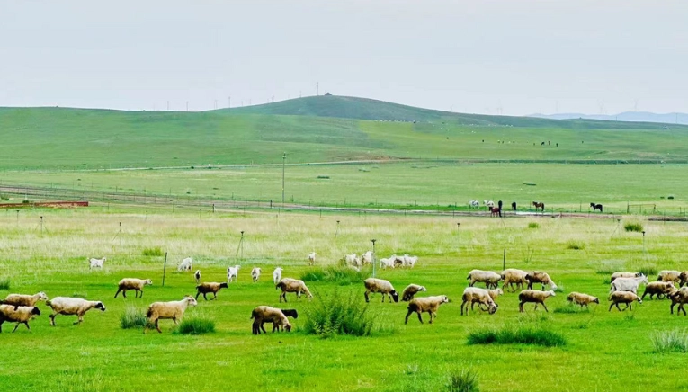 內蒙古旅遊攻略