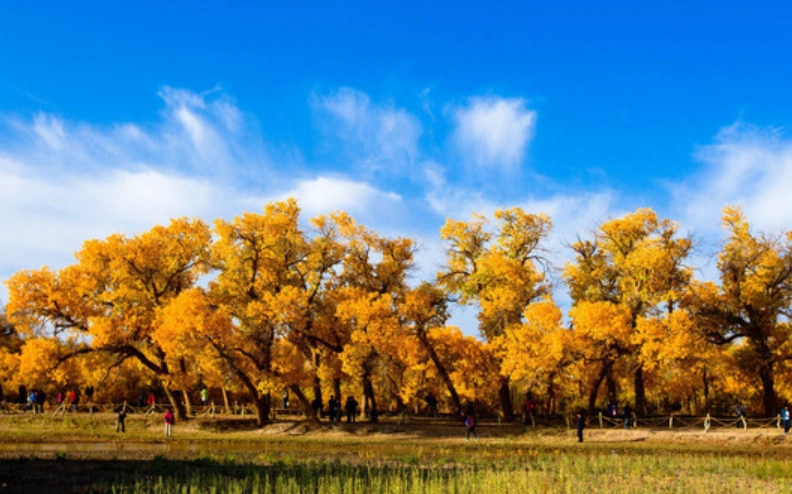 內蒙古旅遊季節