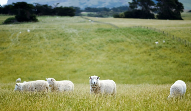 內蒙古旅遊安全