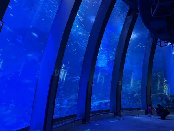 橫濱水族館交通