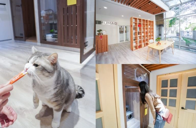 新竹寵物旅館推薦