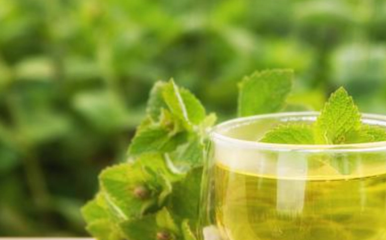 薄荷茶健康益處
