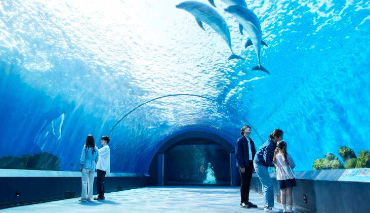 橫濱水族館門票
