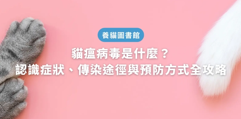 貓瘟預防