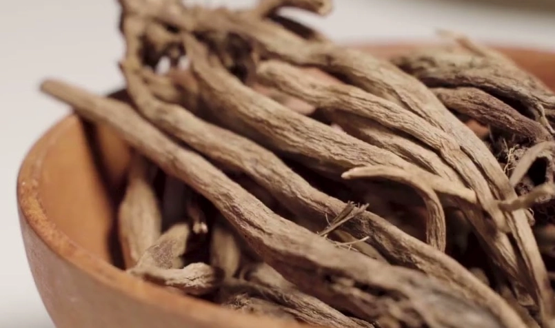 雞角刺煮茶功效