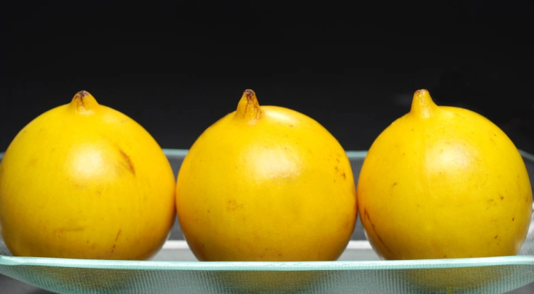 黃金果健康風險