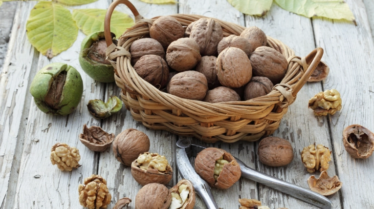 核桃營養價值
