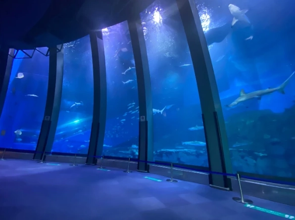 橫濱水族館交通