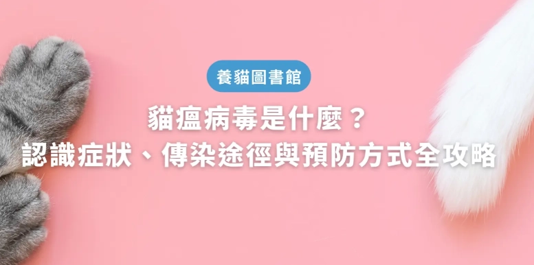 貓瘟預防