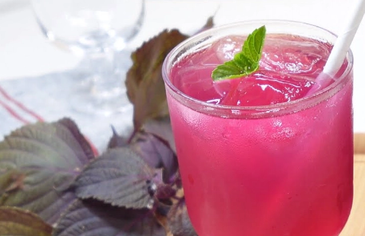 紫蘇飲料做法