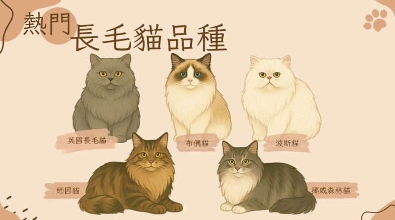 長毛貓飼養成本