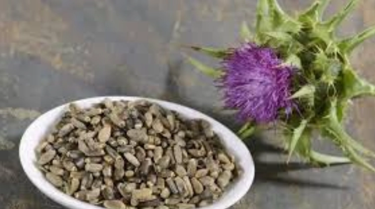 脂肪肝自然療法