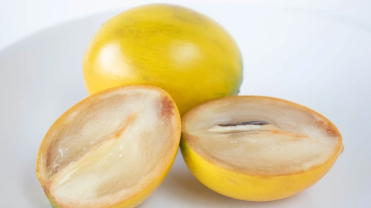 黃金果食用安全