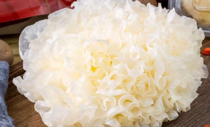 白木耳消化問題