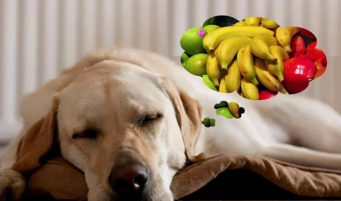 水蜜桃對狗安全