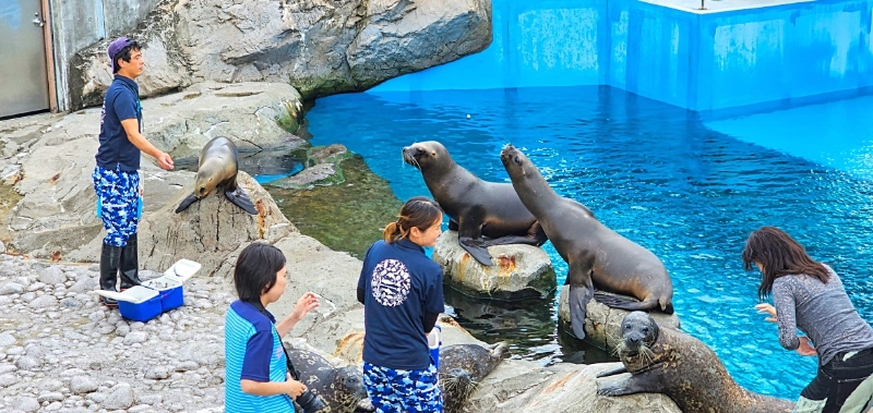 橫濱水族館門票