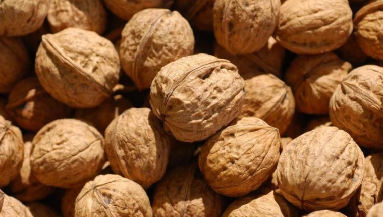 核桃健康益處