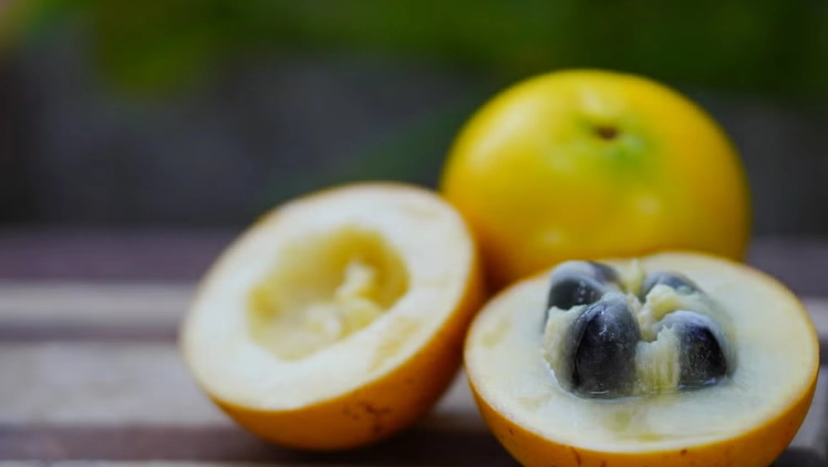 黃金果健康益處