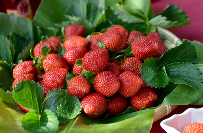 草莓美食推薦