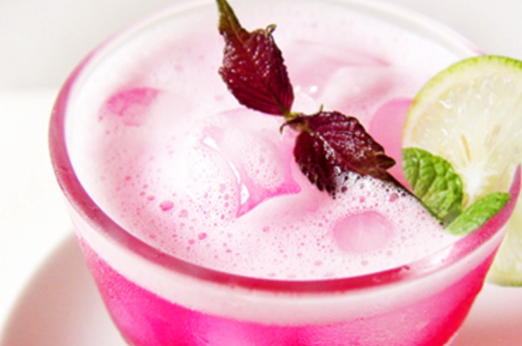 紫蘇葉檸檬水做法