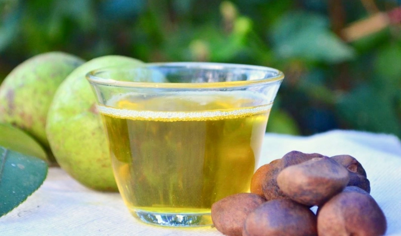 冷壓苦茶油 熱炒