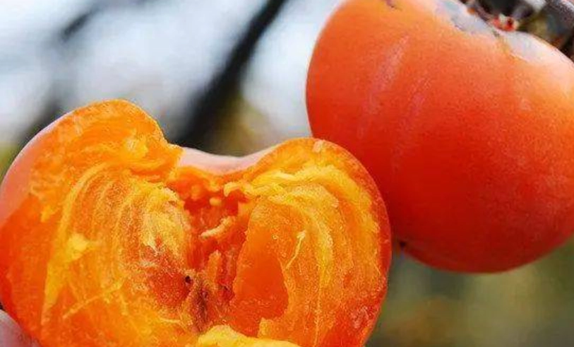 軟柿子健康好處