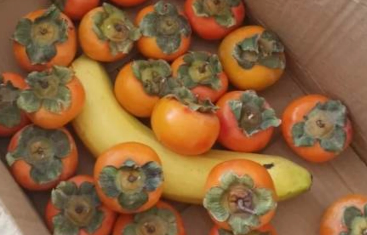 食物相克柿子香蕉