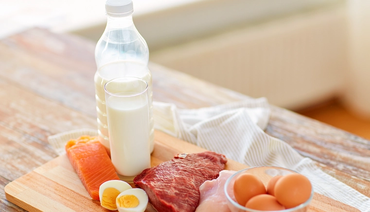 高齡蛋白質食物