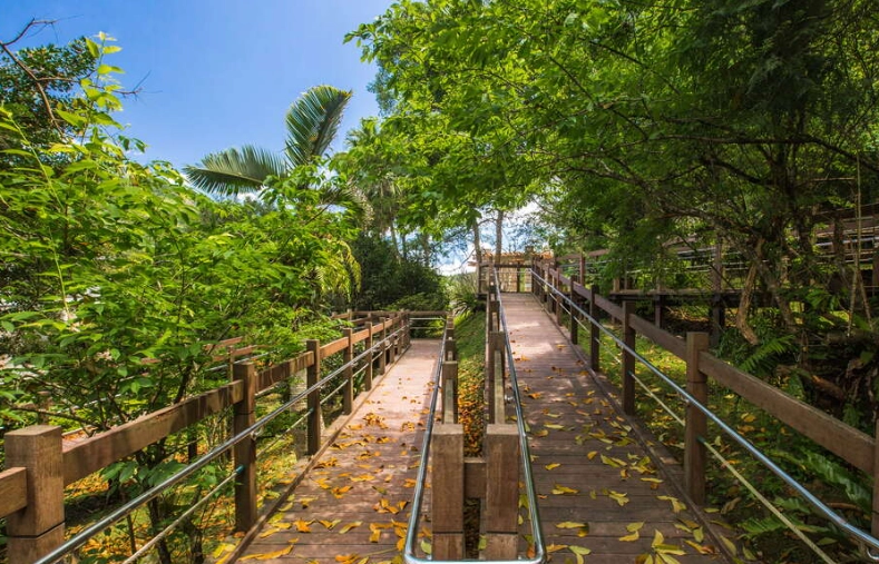 台灣森林遊樂區數量