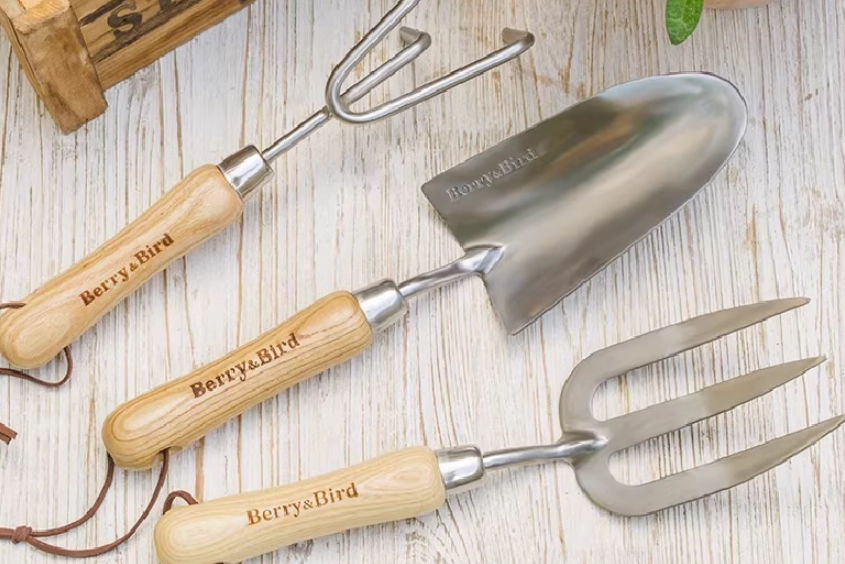 九層塔換盆方法