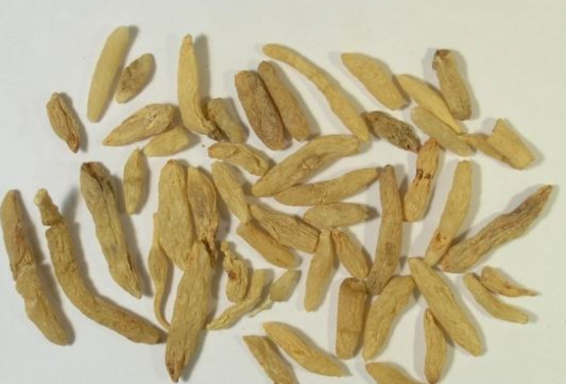 麥門冬湯注意事項