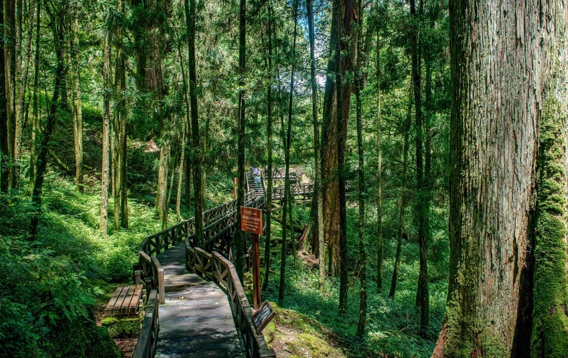 台灣森林遊樂區數量