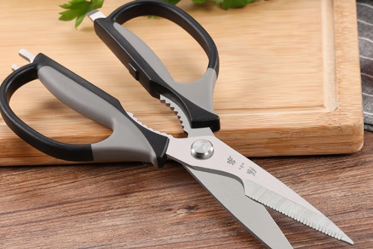 九層塔種植技巧