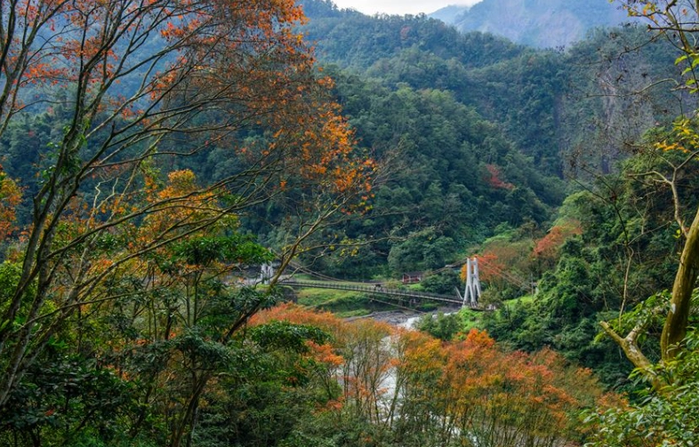 森林遊樂區有哪些