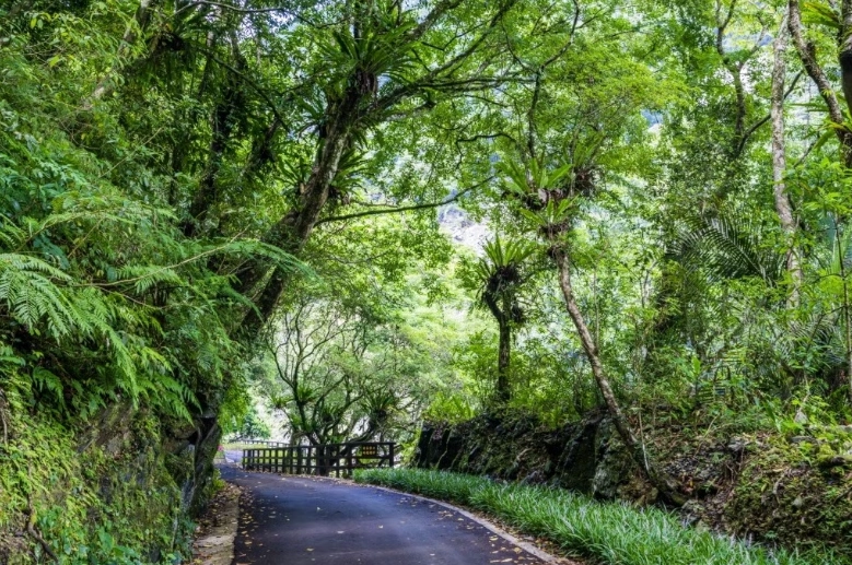 台灣森林遊樂區列表