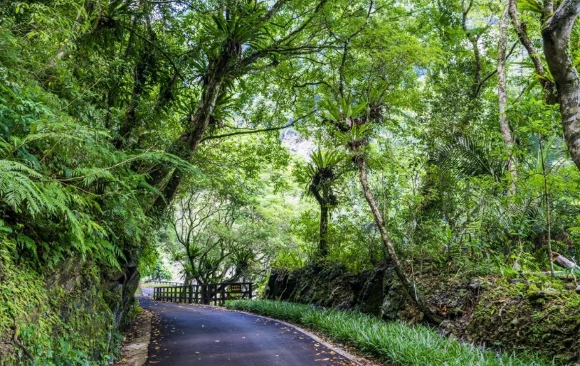 森林遊樂區有哪些