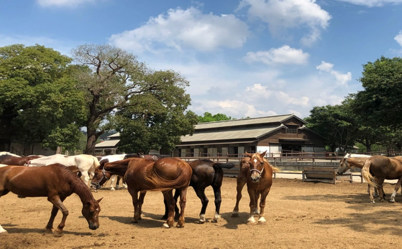 台中后里景點推薦