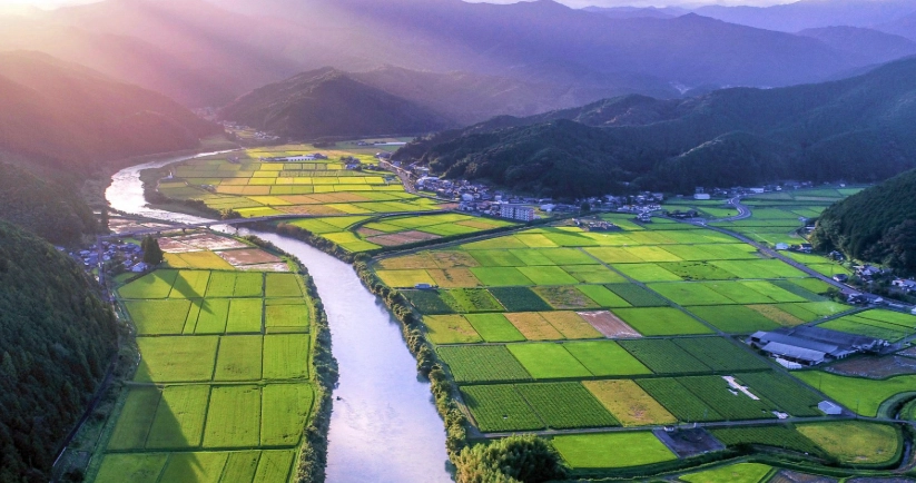 高知自由行攻略