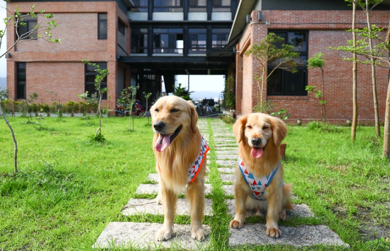 三星鄉寵物友善