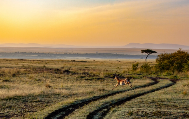 肯亞最佳旅遊時間