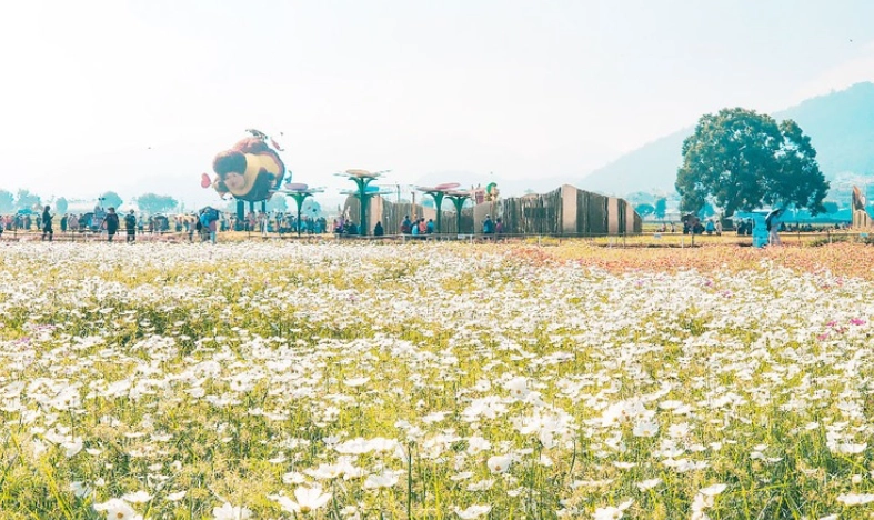 台灣溫泉景點推薦