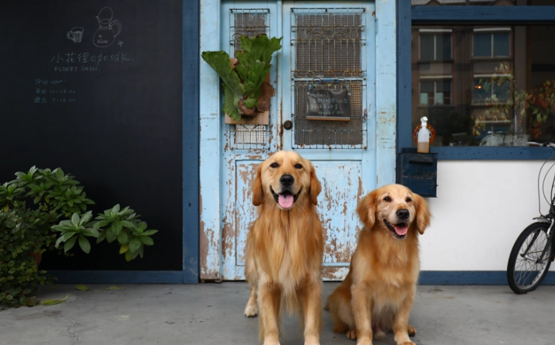 三星鄉寵物友善