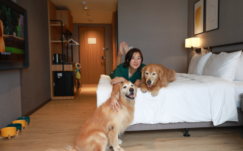 嘉義寵物友善景點