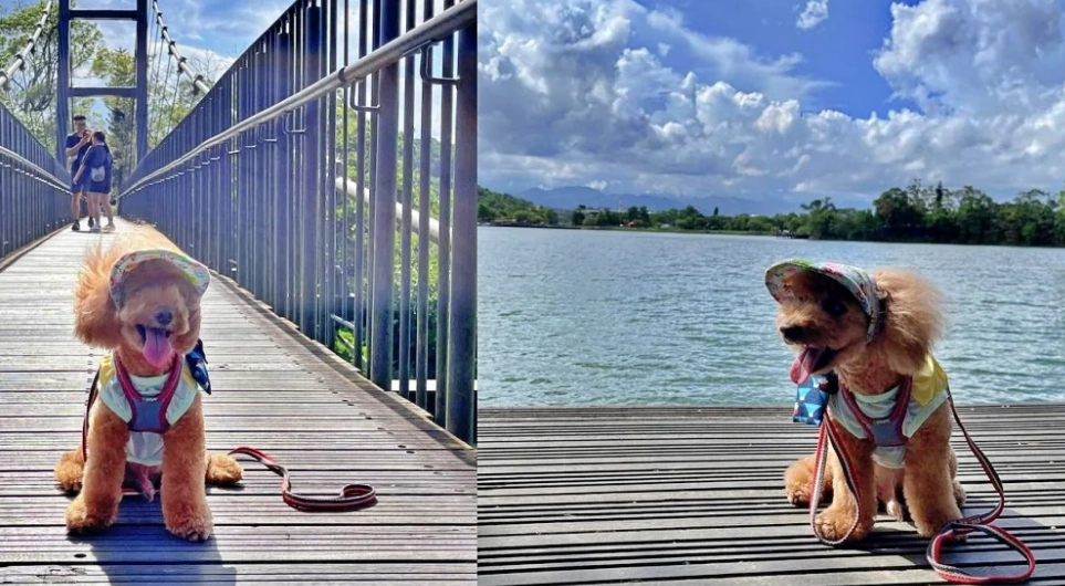 宜蘭帶寵物旅遊