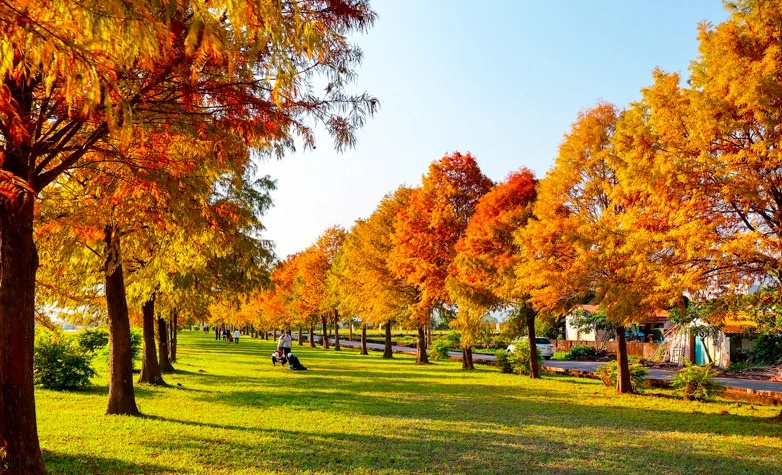 三星鄉寵物友善