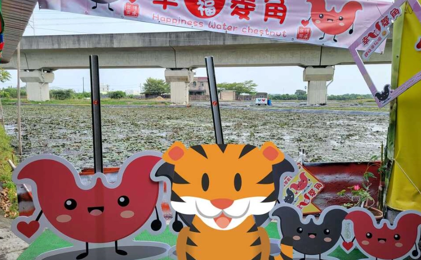 官田觀光工廠交通