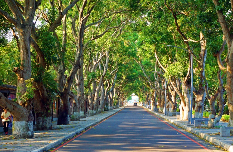 台三線雲林旅遊