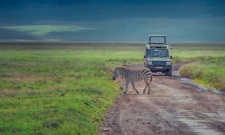 肯亞坦尚尼亞自由行