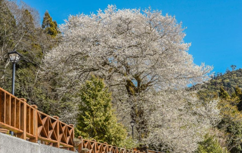 雪霸國家公園住宿