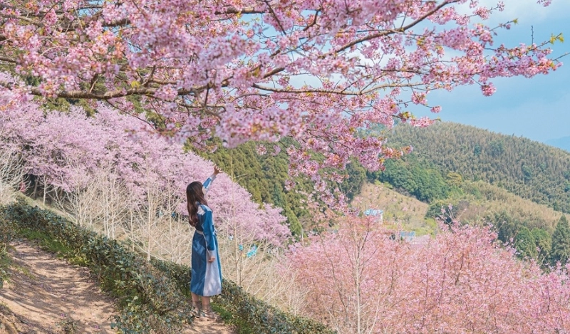 桃竹苗一日遊行程